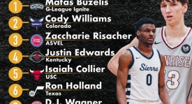 太阳队训练营签下加拿大内线新星：夏联惊艳表现预示未来可期